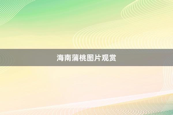 海南蒲桃图片观赏