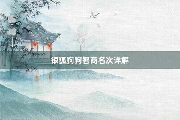 银狐狗狗智商名次详解
