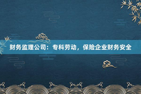 财务监理公司：专科劳动，保险企业财务安全